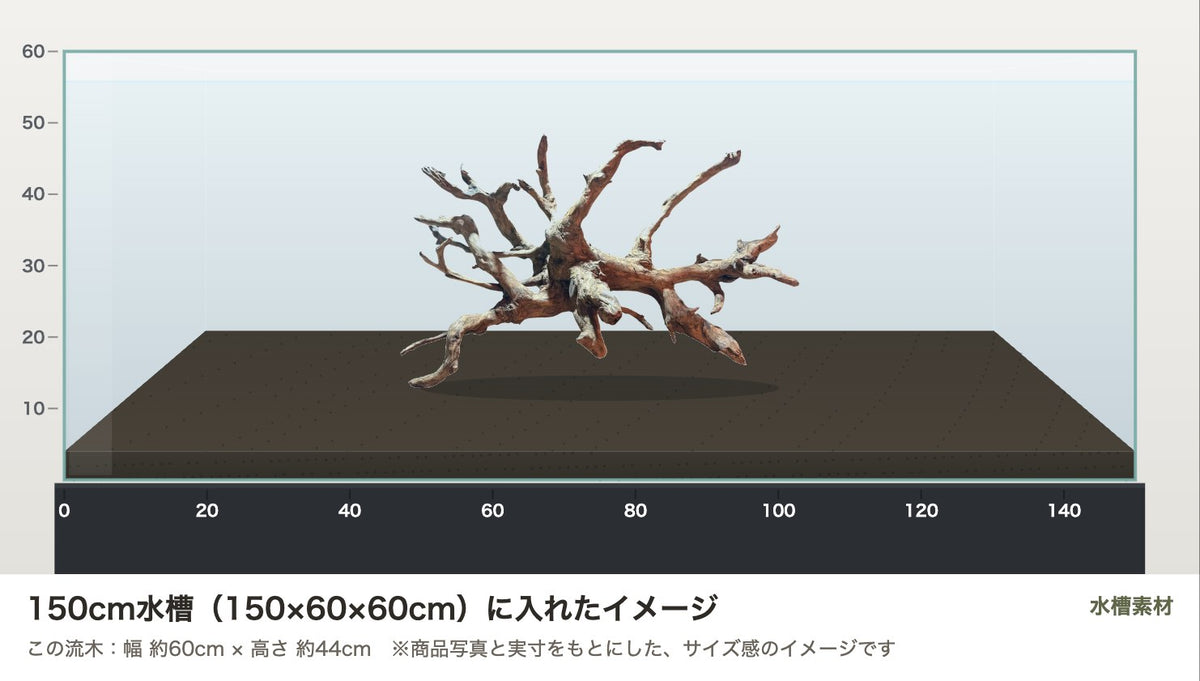 エレファントウッドXXL #30を150cm水槽（150×60×60cm）に入れたサイズ感のイメージ