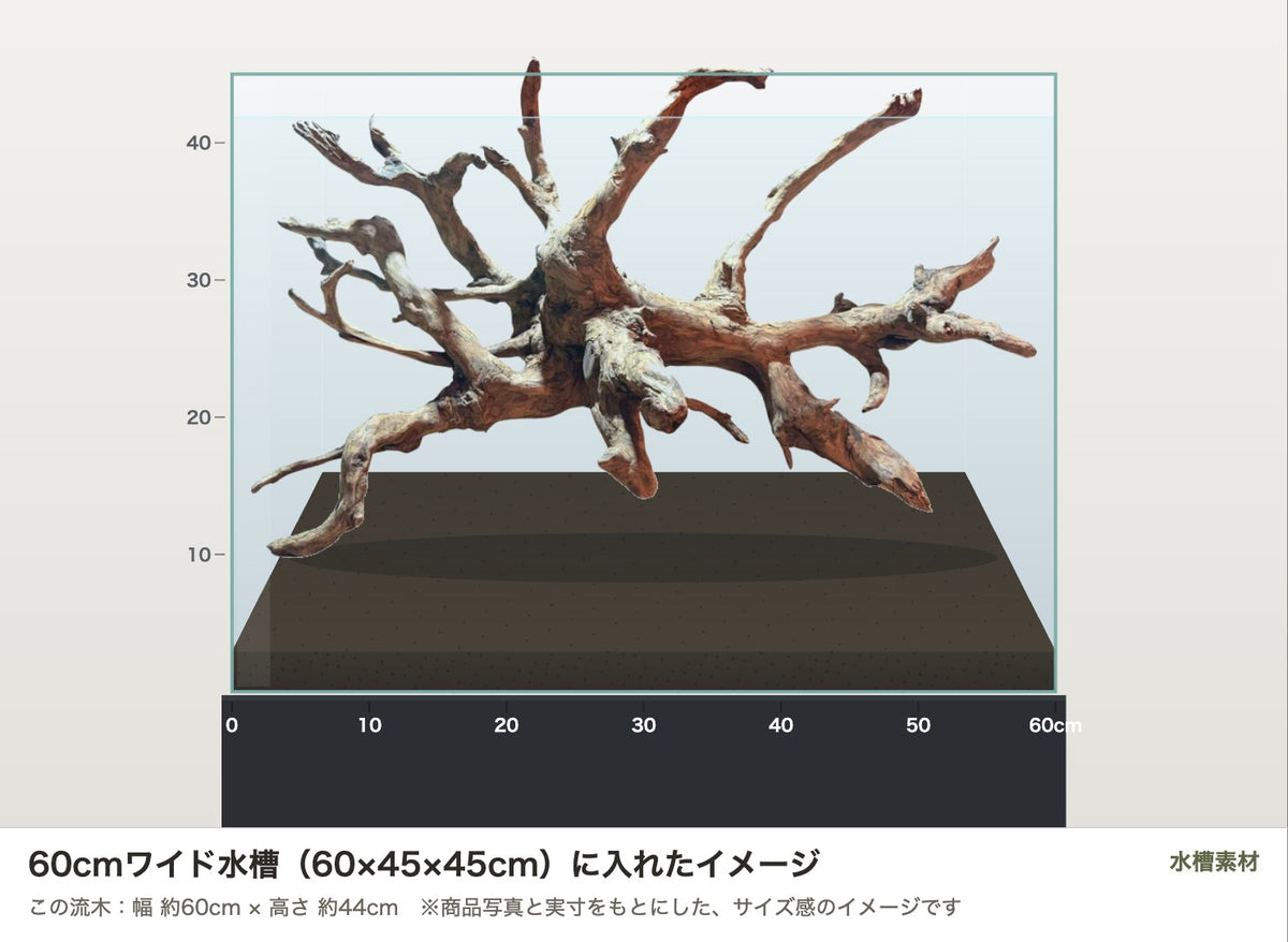 エレファントウッドXXL #30を60cmワイド水槽（60×45×45cm）に入れたサイズ感のイメージ