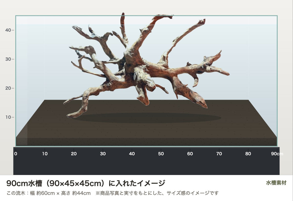エレファントウッドXXL #30を90cm水槽（90×45×45cm）に入れたサイズ感のイメージ