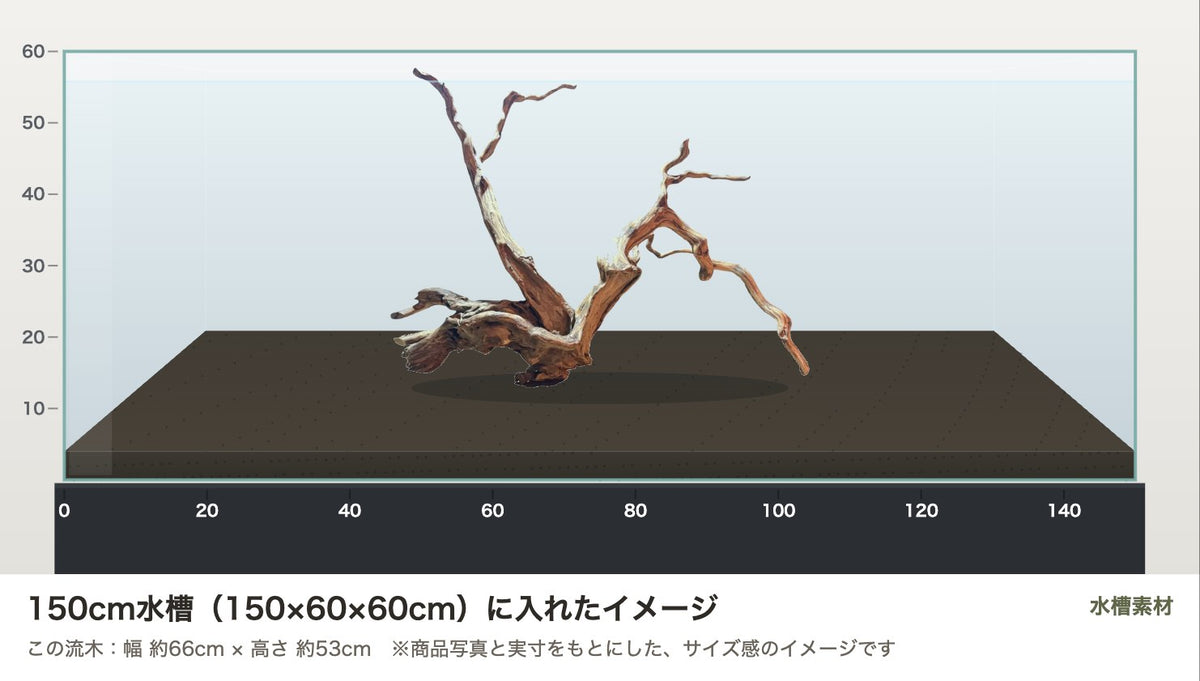 エレファントウッドXXL #34を150cm水槽（150×60×60cm）に入れたサイズ感のイメージ