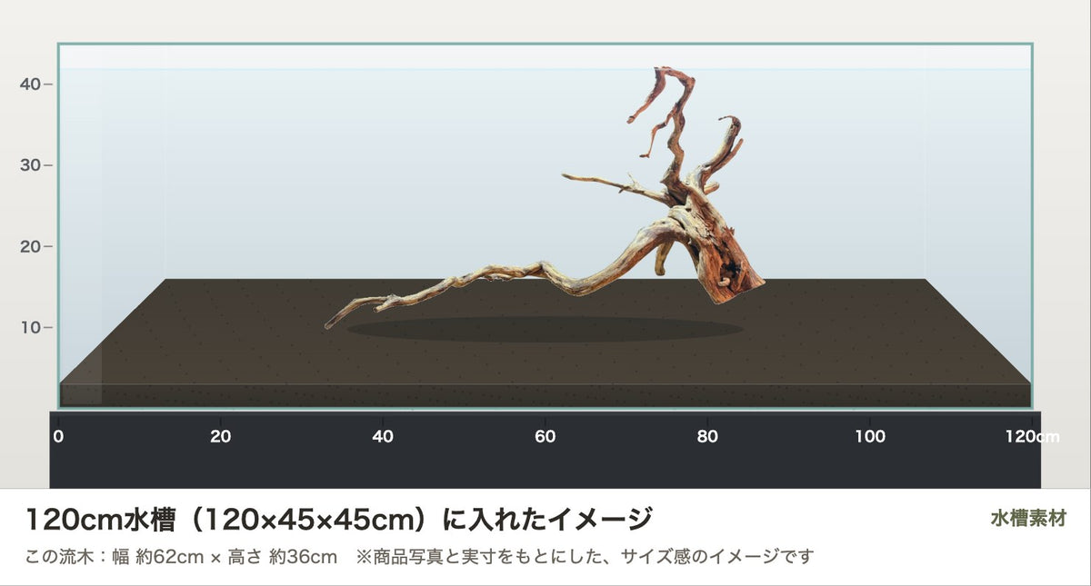 エレファントウッドXXL #33を120cm水槽（120×45×45cm）に入れたサイズ感のイメージ