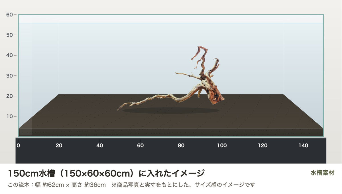 エレファントウッドXXL #33を150cm水槽（150×60×60cm）に入れたサイズ感のイメージ