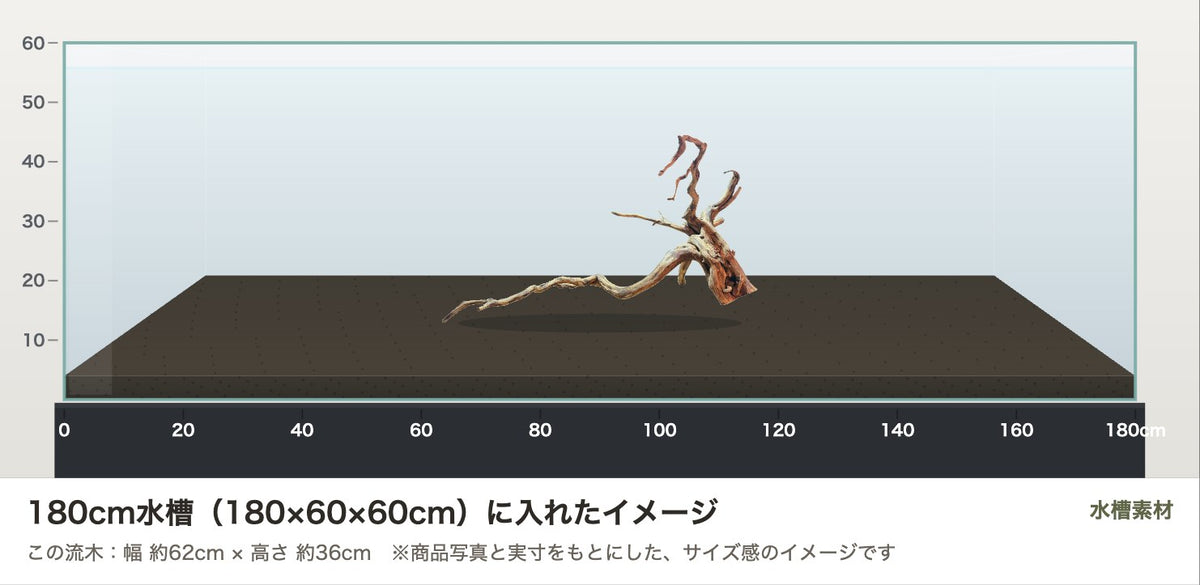 エレファントウッドXXL #33を180cm水槽（180×60×60cm）に入れたサイズ感のイメージ
