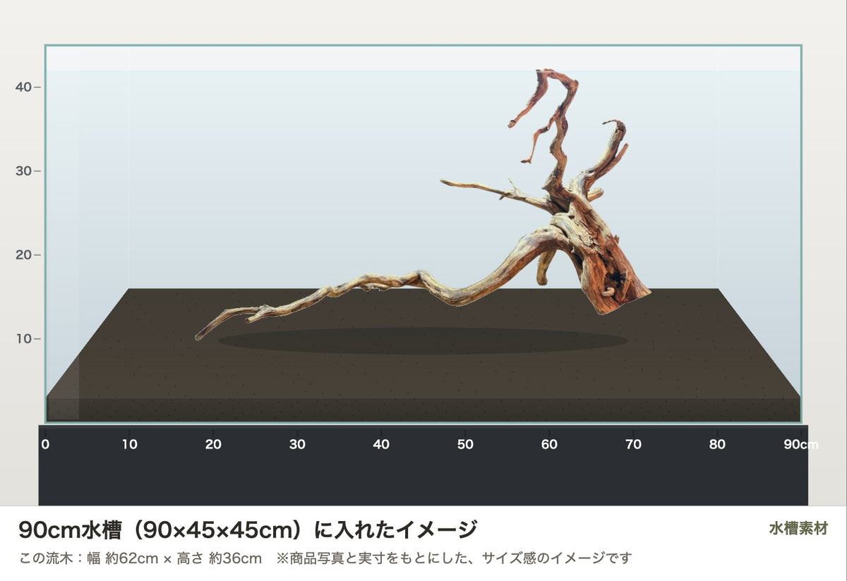 エレファントウッドXXL #33を90cm水槽（90×45×45cm）に入れたサイズ感のイメージ