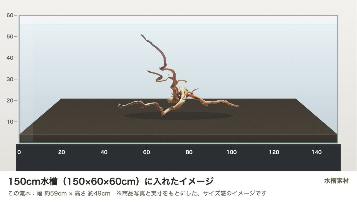 エレファントウッドXXL #35を150cm水槽（150×60×60cm）に入れたサイズ感のイメージ