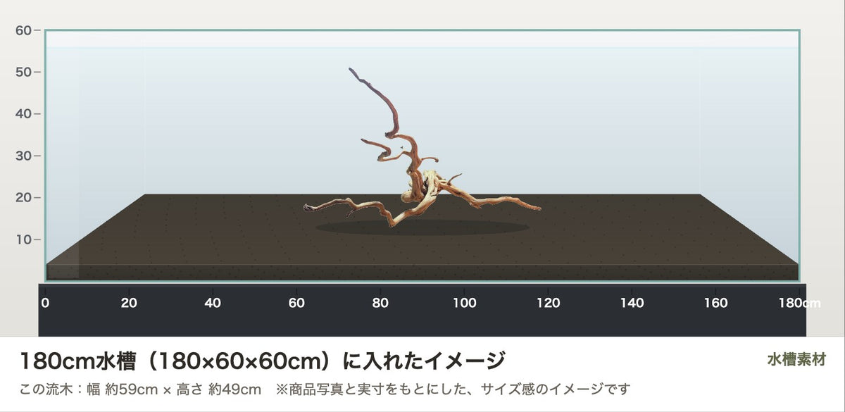 エレファントウッドXXL #35を180cm水槽（180×60×60cm）に入れたサイズ感のイメージ