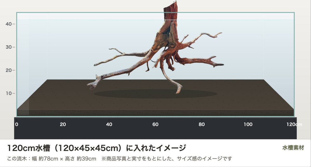エレファントウッドXXXL #37を120cm水槽（120×45×45cm）に入れたサイズ感のイメージ
