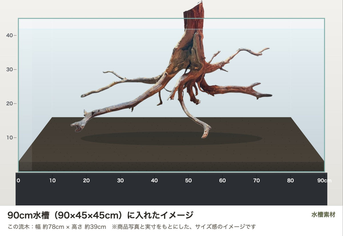エレファントウッドXXXL #37を90cm水槽（90×45×45cm）に入れたサイズ感のイメージ