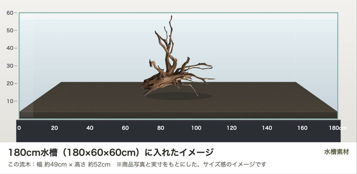 エレファントウッドXL #40を180cm水槽（180×60×60cm）に入れたサイズ感のイメージ