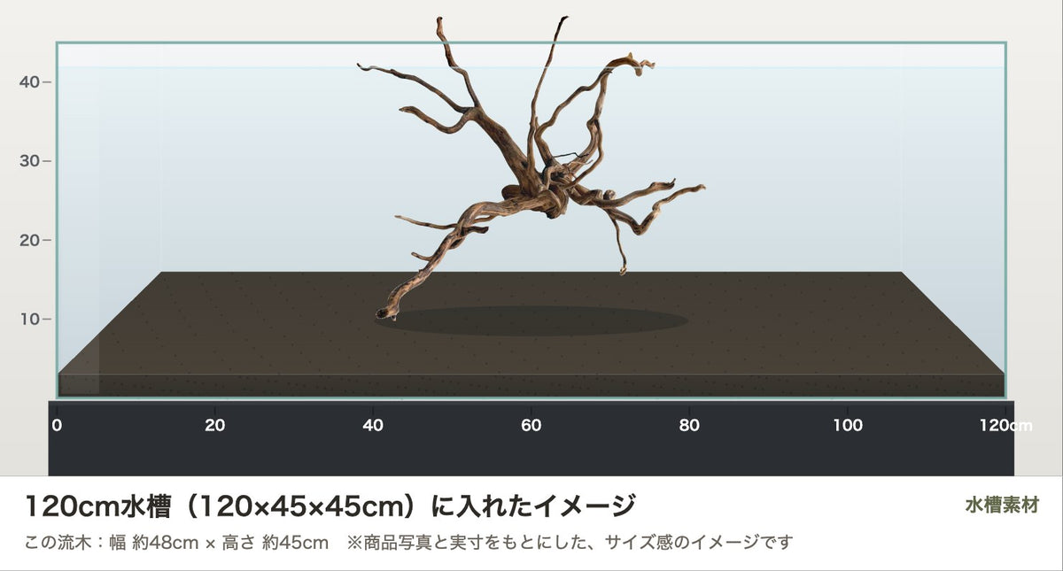 エレファントウッドXL #46を120cm水槽（120×45×45cm）に入れたサイズ感のイメージ