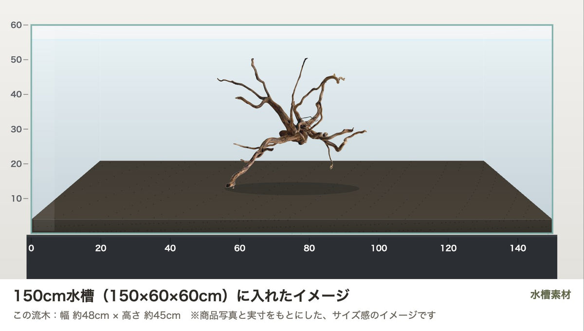 エレファントウッドXL #46を150cm水槽（150×60×60cm）に入れたサイズ感のイメージ