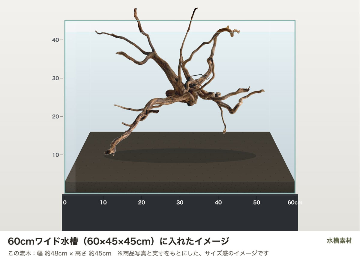 エレファントウッドXL #46を60cmワイド水槽（60×45×45cm）に入れたサイズ感のイメージ